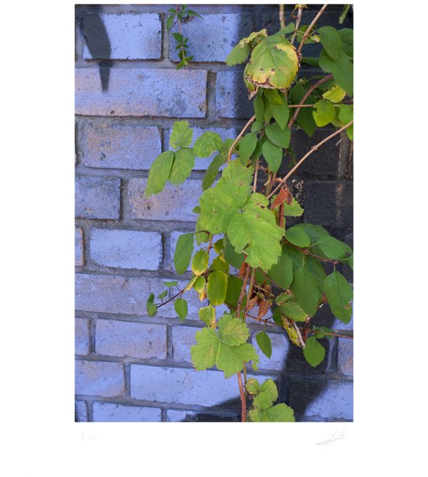 Spring 2. Seasons folder