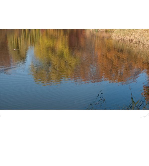 Autumn 1. Seasons folder