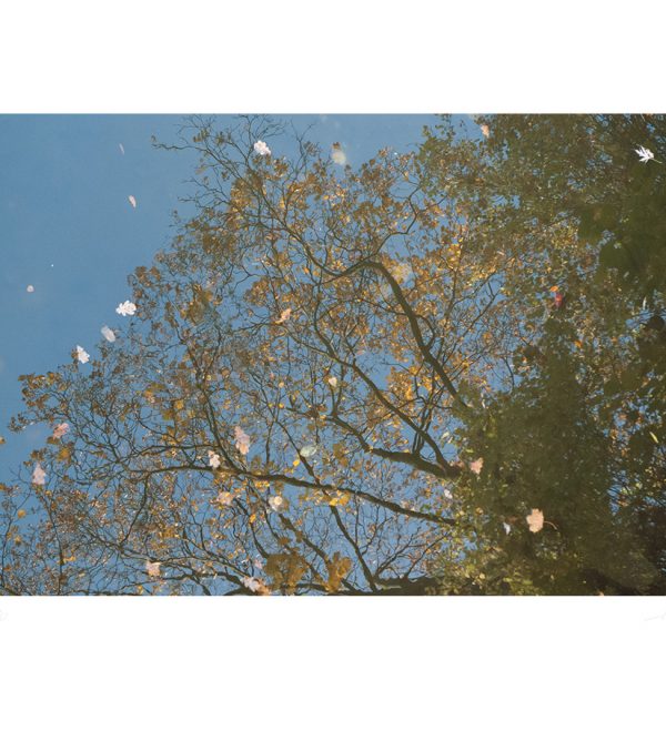 Autumn 2. Seasons folder