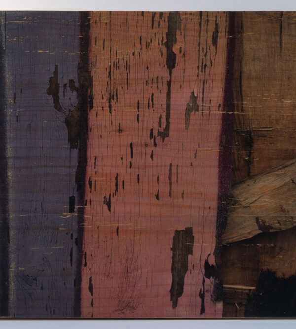 Wood 12. Ruptura series