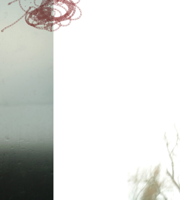 Icy face 1. Winter Series