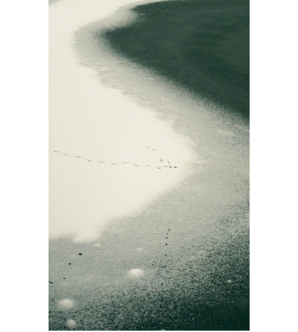 Boreal abstraction 2. Winter Series