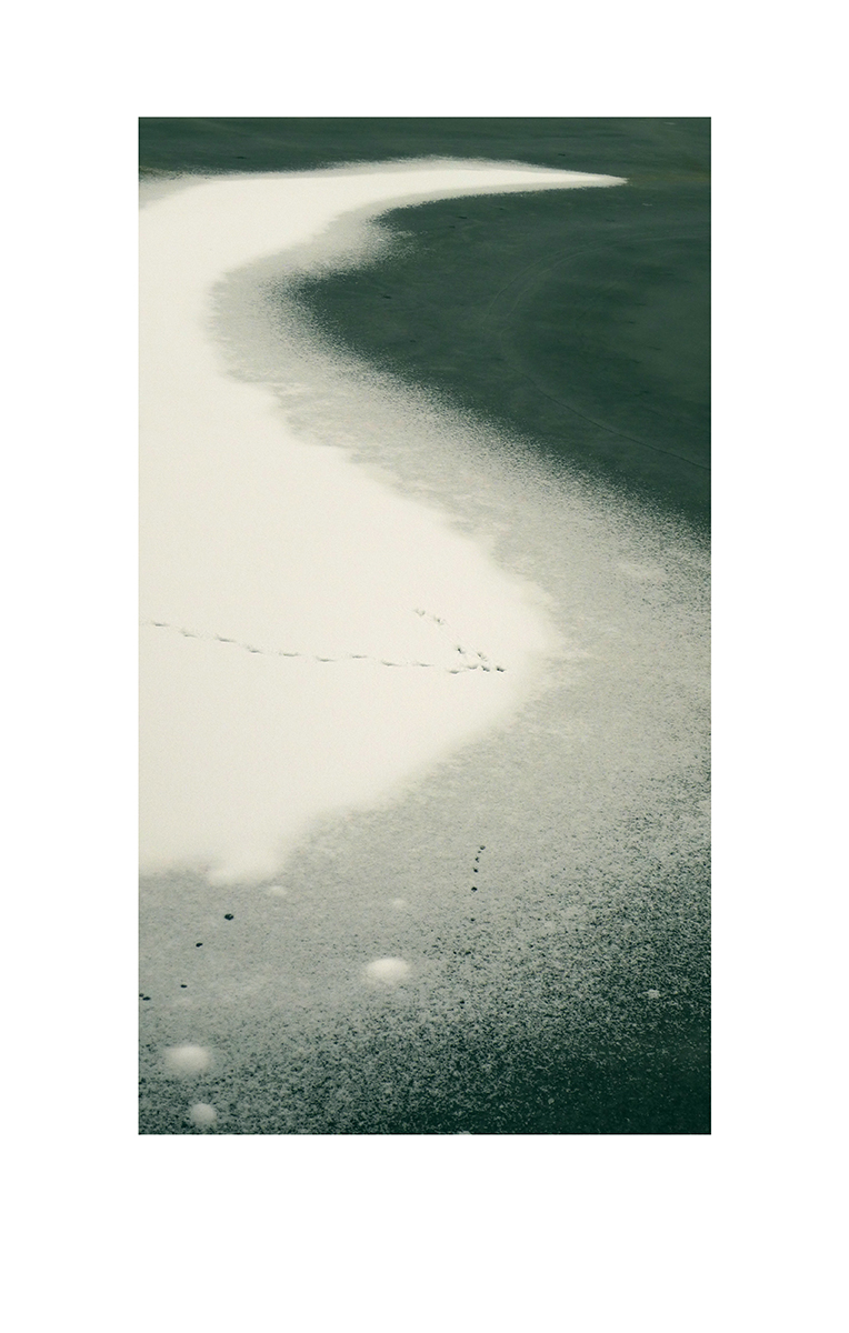 Boreal abstraction 2. Winter Series