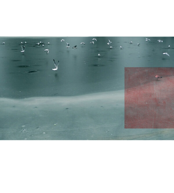 Boreal elevation. Winter Series