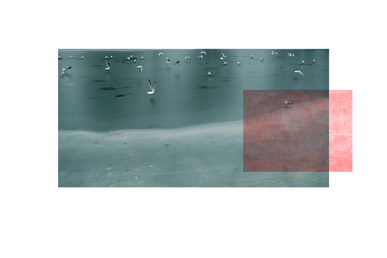Boreal elevation. Winter Series