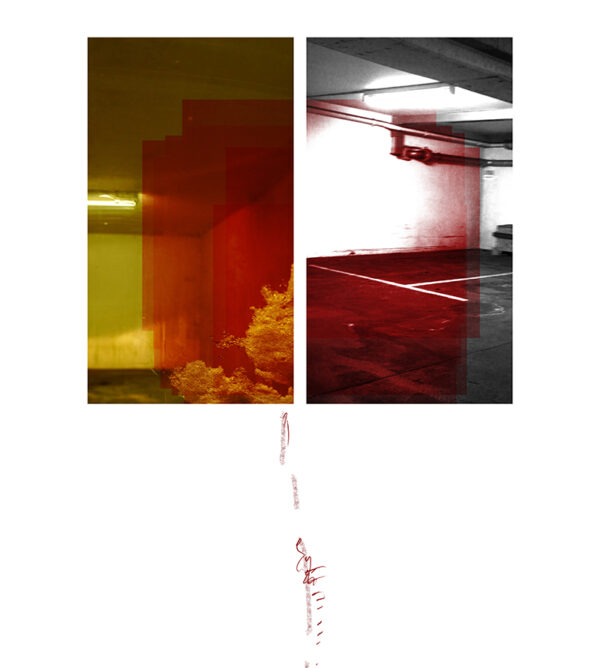 Urban Habitat 2. Winter Series