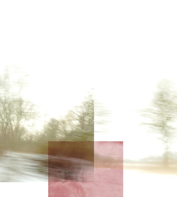 Lapse 1. Winter Series