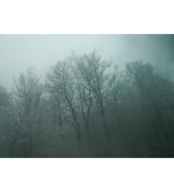 Longing 3. Winter Series