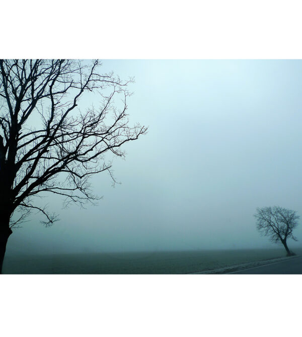 Longing 4. Winter Series