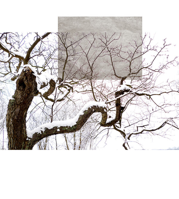 Tentacles of the cold 1. Winter Series