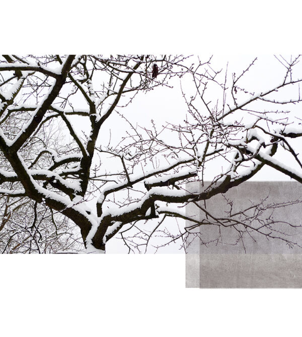 Tentacles of the cold 2. Winter Series