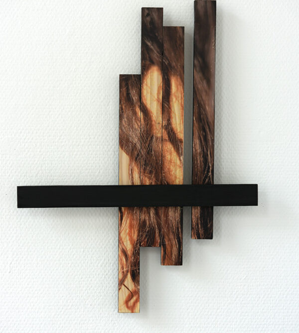 Karlos Kaplan. Haar Nr 1, Union Series. 2021. 39,5x52,5 cm. Photography phototransfer and acrylic on wood