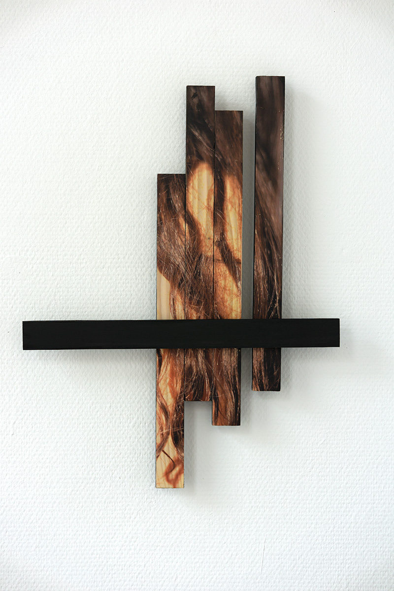 Karlos Kaplan. Haar Nr 1, Union Series. 2021. 39,5x52,5 cm. Photography phototransfer and acrylic on wood