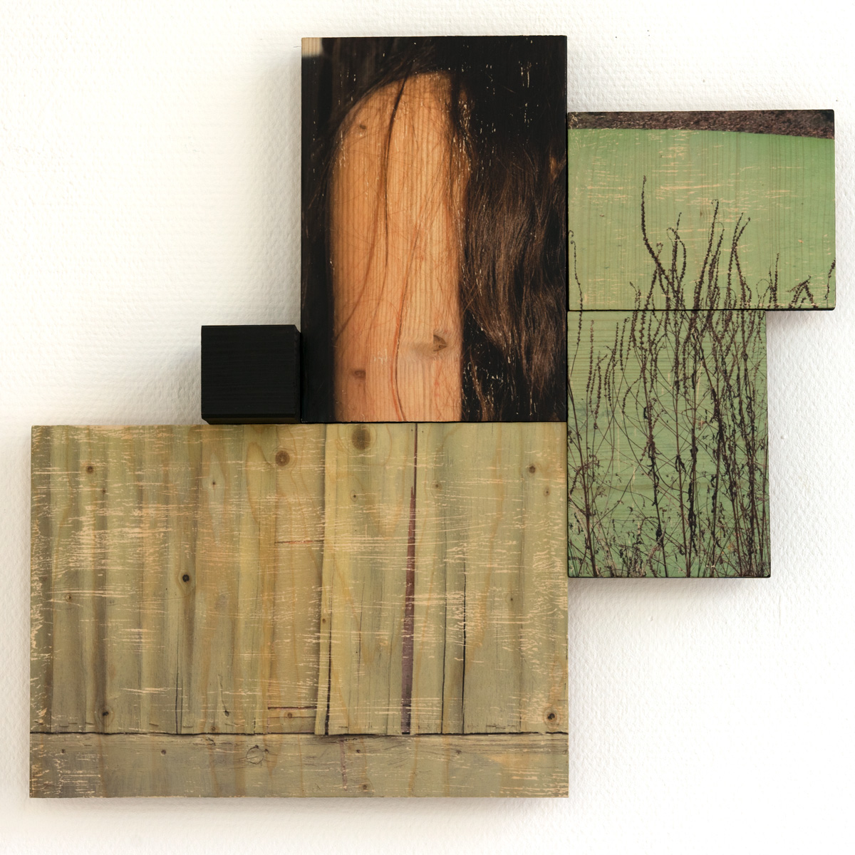 Karlos Kaplan. Haar und Lagune, Union Series. 2021. 57x60,9 cm. Photography phototransfer and acrylic on wood