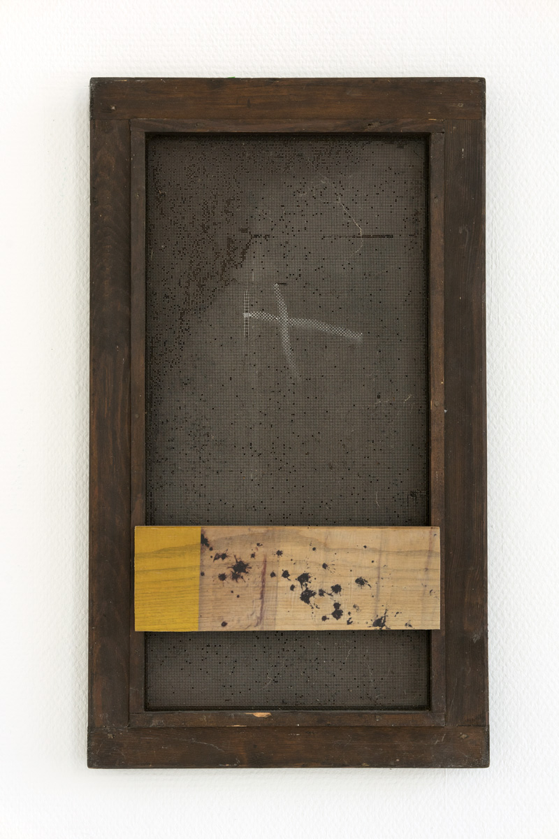 Karlos Kaplan. Moskitonetz Nr 1, Union Series. 2021. 63,4x36,8 cm. Photography phototransfer on wood and chalk