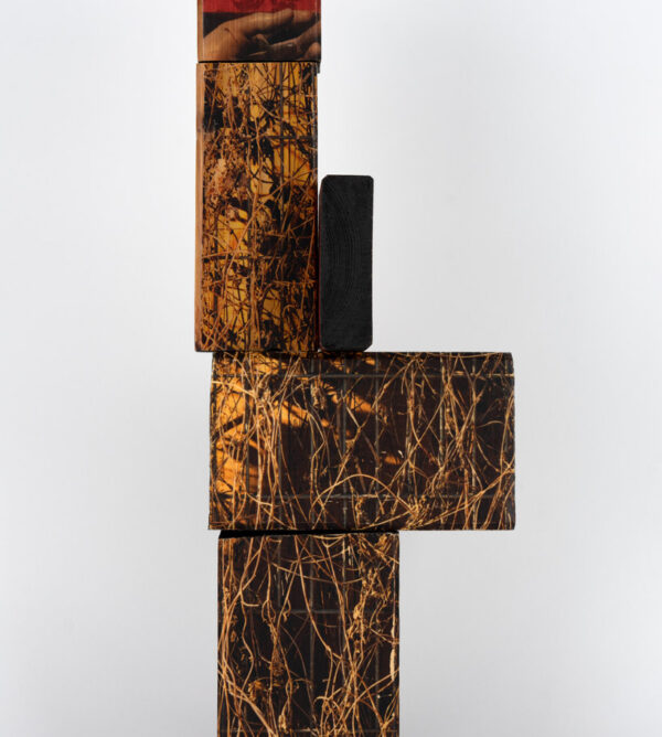 Sicut Lilium inter Spinas. 2022. Karlos Kaplan. 48x17,7x12,7 cm. Photography, phototransfer and acrylic on wood